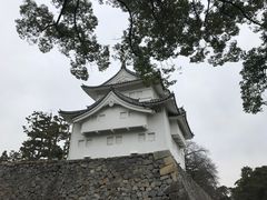 -名古屋城
