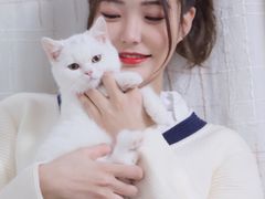 -翊宠yipet猫狗购宠庄园犬舍•猫舍