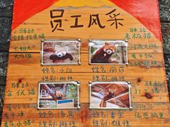 -柳州市动物园