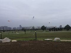 -汉长安城未央宫国家考古遗址公园