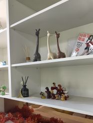 -变美丽半永久纹眉连锁·机器野生眉•洗眉