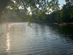 -荔湾湖公园