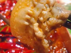 -辣伍鲜毛肚老火锅(元一店)