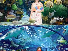 -瑞普利水族馆