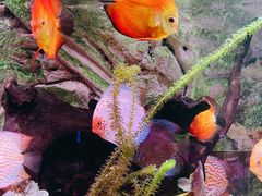 -上海海洋水族馆