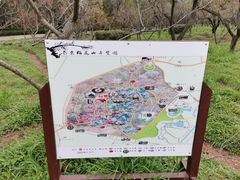 -梅花山(明孝陵内)