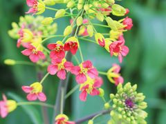 -中国天府农业博览园