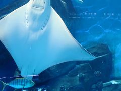 -泉城欧乐堡海洋极地世界