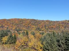 -五营红松林海景区