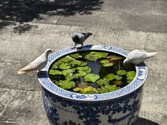 -博鳌禅寺