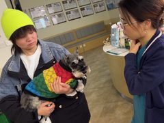 -美联众合动物医院·24h转诊中心