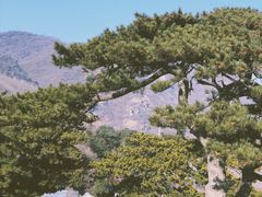 -妙峰山风景名胜区