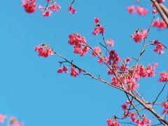 -福清灵石山国家森林公园