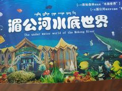 -西双版纳原始森林公园