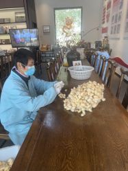 -太湖雪蚕桑文化园