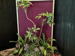 -成都尼依格罗酒店