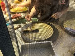 -南楼煎饼(滨江道店)