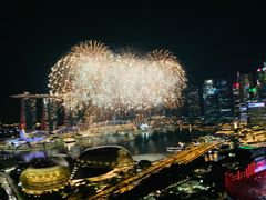 -新加坡瑞士史丹福酒店