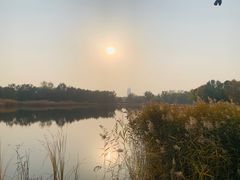 -永定河休闲森林公园