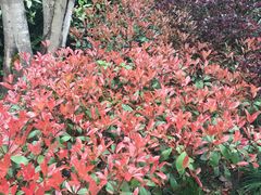 -张江润和国际总部园