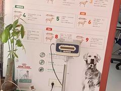 -哆趣宠物医院·眼科·内镜·急重症转诊中心(上海店)