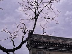 -乔家大院文化园区