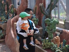 -南通洲际绿博园