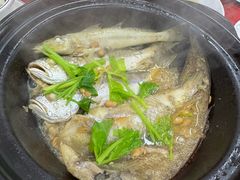 -蛇口康乐快餐鱼仔档(翠苑小区店)