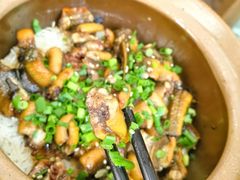-红星光发煲仔饭(文海店)