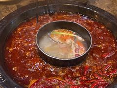 -重庆渝达老火锅(春熙路店)