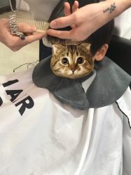 -Hair Co.一间沙龙