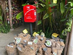 -大象粑粑造纸公园