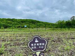 -绥芬河国门景区