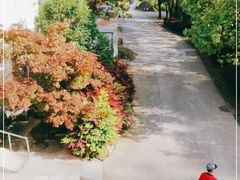 -黄山翡翠谷景区
