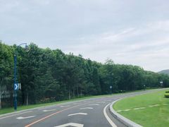 -棒棰岛宾馆景区