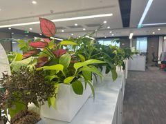 -王丽律师团队·专注婚姻家事(黄浦店)