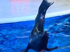 -成都浩海立方海洋公园