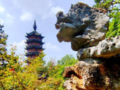 -红梅公园