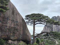 -黄山风景区