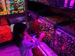 -中环花鸟鱼虫市场