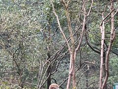 -重庆雨台山风景区