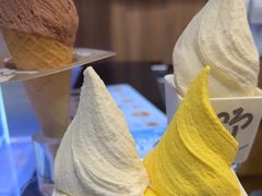 -野人先生现做冰淇淋(北京顺义祥云小镇店)