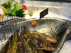 -川骄海鲜自助(河东店)