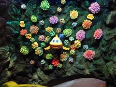 -珠海长隆海洋王国