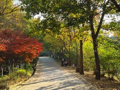 -南京市江宁方山