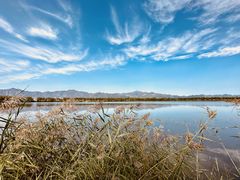 -野鸭湖国家湿地公园