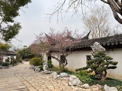-巡塘古镇