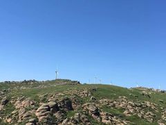 -哈素海