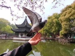 -西园寺素食(西园弄戒幢律寺店)