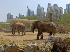 -天津市动物园